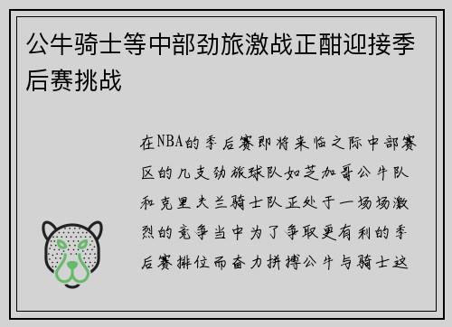 公牛骑士等中部劲旅激战正酣迎接季后赛挑战